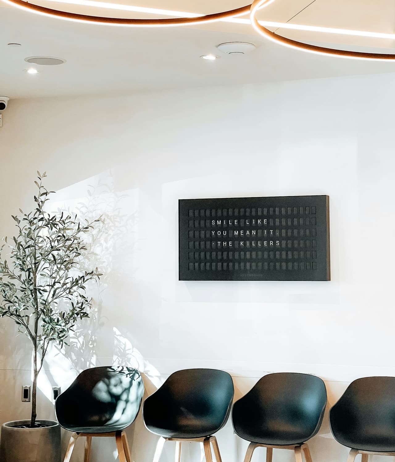 Sala de espera clara e minimalista com poltronas pretas e vaso de oliveira